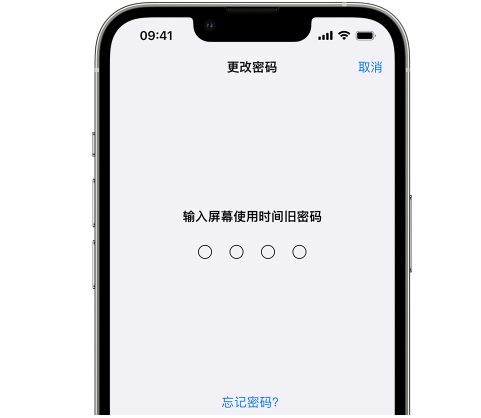 康县iPhone屏幕维修分享iPhone屏幕使用时间密码忘记了怎么办 