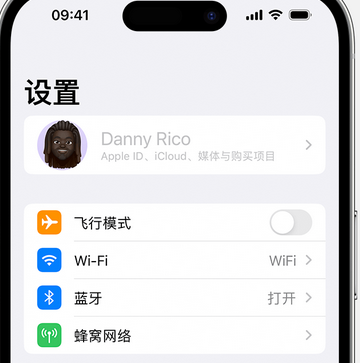 康县appleID维修服务iPhone设置中Apple ID显示为灰色无法使用 