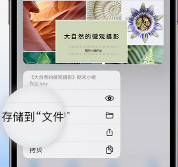 康县apple维修中心分享iPhone文件应用中存储和找到下载文件