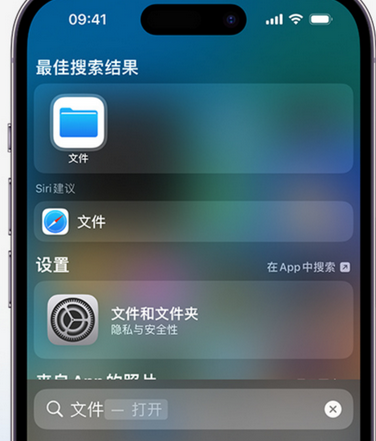 康县apple维修中心分享iPhone文件应用中存储和找到下载文件 