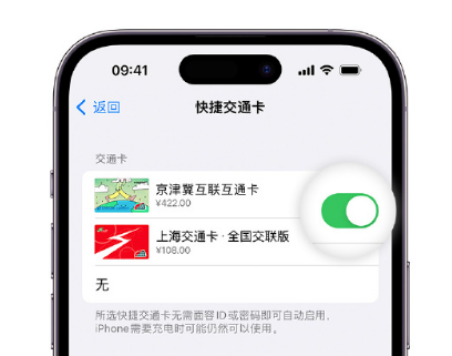 康县apple维修点分享iPhone上更换Apple Pay快捷交通卡手绘卡面 