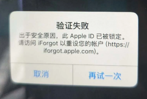 康县iPhone维修分享iPhone上正常登录或使用AppleID怎么办 