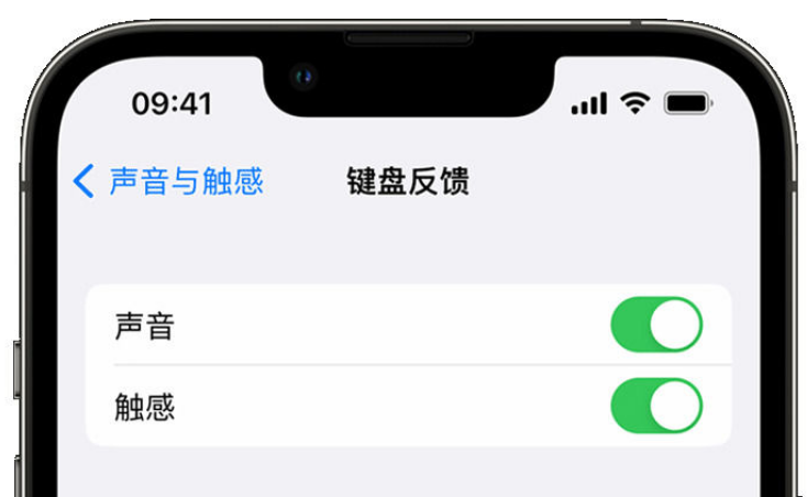 康县苹果手机维修分享iPhone 14触感键盘使用方法 