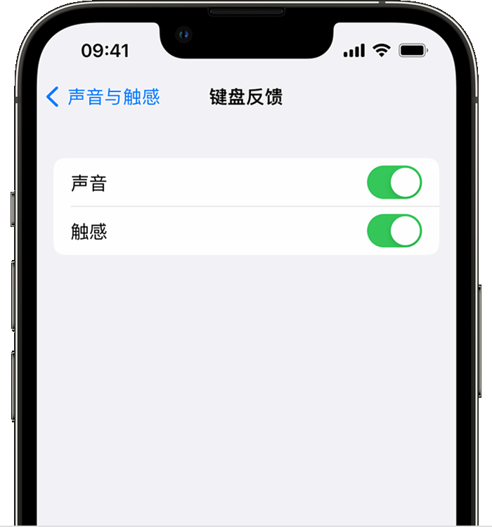 康县苹果14维修店分享如何在 iPhone 14 机型中使用触感键盘 