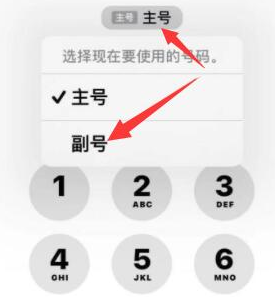 康县苹果14维修店分享iPhone 14 Pro Max使用副卡打电话的方法 