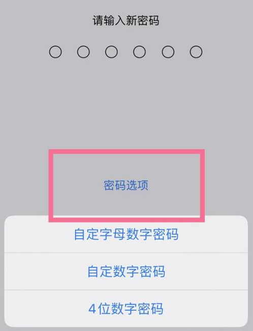 康县苹果14维修分享iPhone 14plus设置密码的方法 