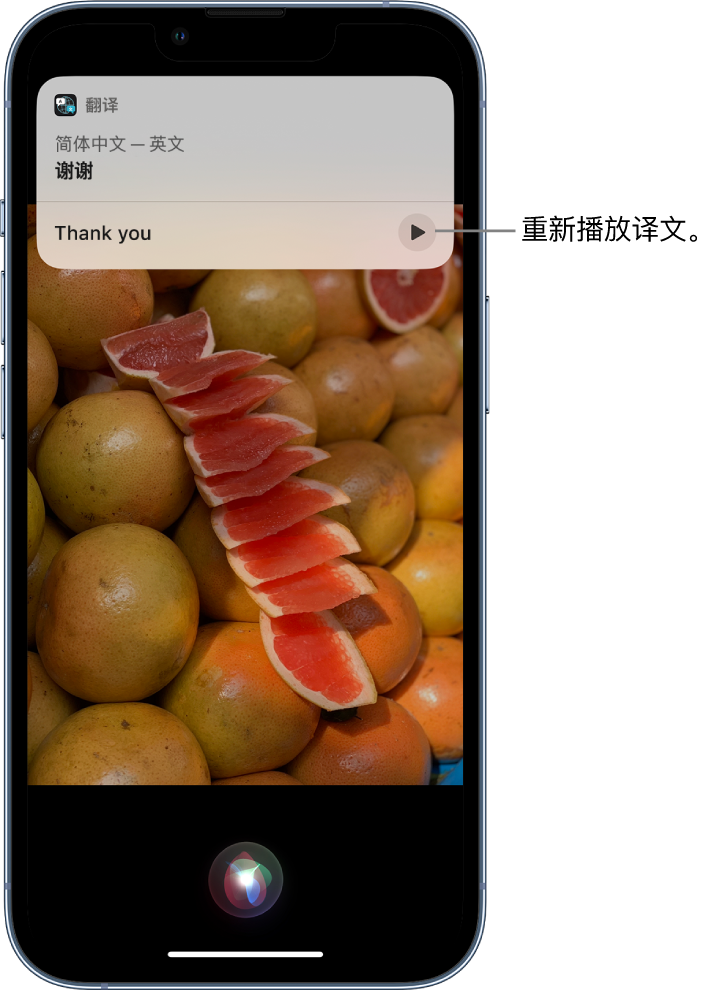 康县苹果14维修分享 iPhone 14 机型中使用 Siri：了解 Siri 能帮你做什么 