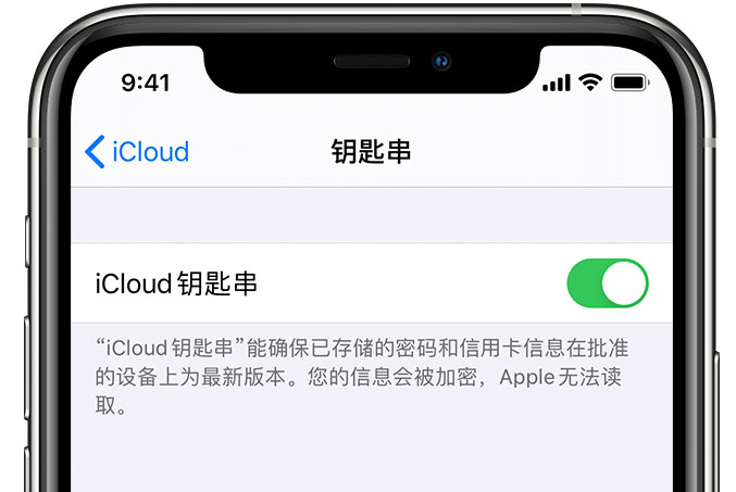 康县苹果手机维修分享在 iPhone 上开启 iCloud 钥匙串之后会储存哪些信息 