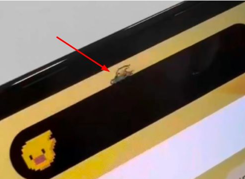 康县苹果14维修分享iPhone 14 Pro Max灵动岛怎么养宠物 