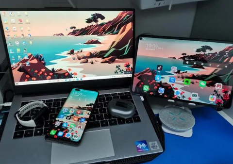 康县苹果手机维修分享为什么iPad屏幕更大价格却比iPhone低 