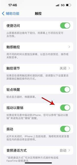 康县苹果手机维修分享iPhone手机如何设置摇一摇删除文字 