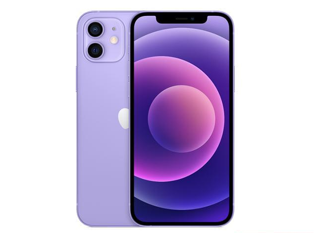 康县苹果手机维修分享现阶段要不要入手紫色版iPhone12 