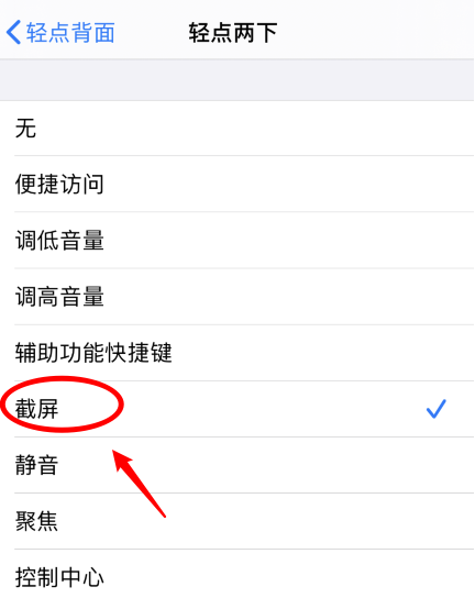 康县苹果手机维修分享iPhone12如何启用双击截屏 