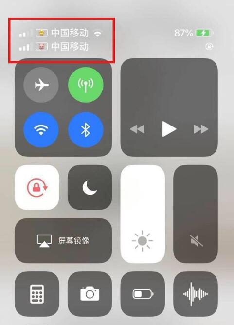 康县苹果手机维修分享为 iPhone 12 双卡设置标签 