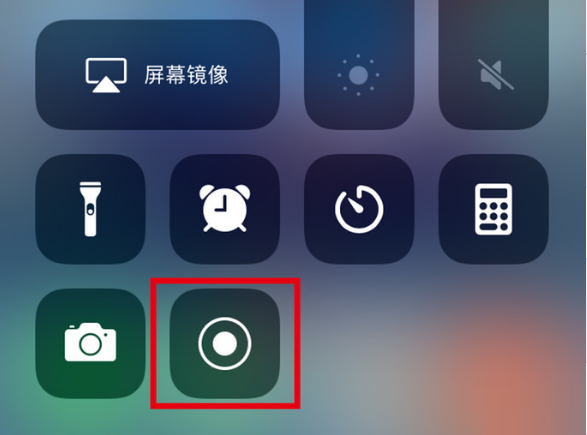 康县苹果手机维修分享iPhone12录屏方法教程 