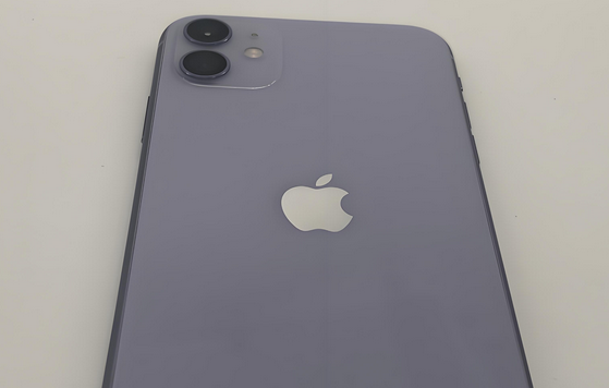 康县苹果11系统维修分享iPhone11手机系统崩溃无法开机如何解决 