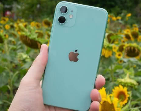 康县苹果维修点分享iPhone 11锁屏密码认知与使用科普 